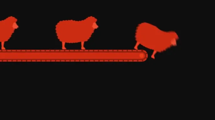 Sheep following one right after another off the edge of a conveyor belt.