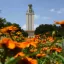 UT Tower
